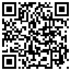 QR Code Handyversion