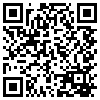 QR Code Handyversion