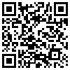 QR Code Handyversion