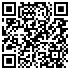 QR Code Handyversion