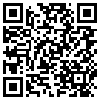 QR Code Handyversion