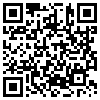 QR Code Handyversion