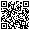 QR Code Handyversion