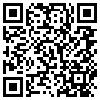 QR Code Handyversion