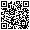 QR Code Handyversion