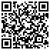 QR Code Handyversion