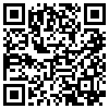 QR Code Handyversion