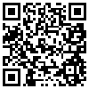 QR Code Handyversion