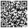 QR Code Handyversion