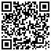 QR Code Handyversion