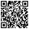 QR Code Handyversion