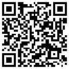 QR Code Handyversion