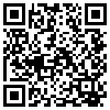 QR Code Handyversion