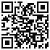 QR Code Handyversion