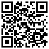 QR Code Handyversion