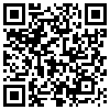 QR Code Handyversion