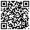 QR Code Handyversion