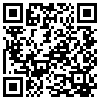 QR Code Handyversion