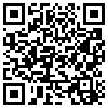 QR Code Handyversion