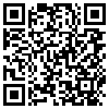 QR Code Handyversion