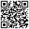 QR Code Handyversion