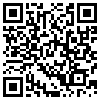 QR Code Handyversion