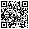 QR Code Handyversion