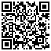 QR Code Handyversion