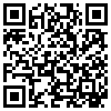 QR Code Handyversion