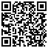 QR Code Handyversion