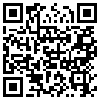 QR Code Handyversion