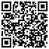 QR Code Handyversion