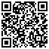 QR Code Handyversion