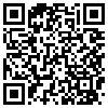 QR Code Handyversion