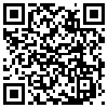 QR Code Handyversion