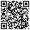 QR Code Handyversion