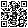 QR Code Handyversion