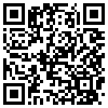 QR Code Handyversion