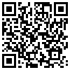 QR Code Handyversion