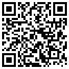 QR Code Handyversion