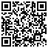 QR Code Handyversion