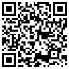 QR Code Handyversion