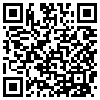 QR Code Handyversion