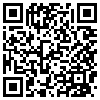 QR Code Handyversion