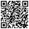 QR Code Handyversion