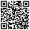 QR Code Handyversion