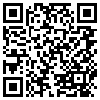 QR Code Handyversion