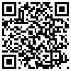 QR Code Handyversion