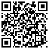 QR Code Handyversion