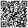 QR Code Handyversion